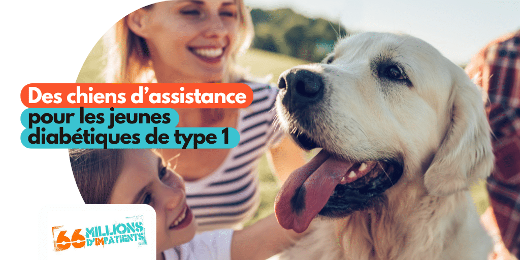 Chiens d’assistance : Un atout majeur contre le diabète chez les jeunes