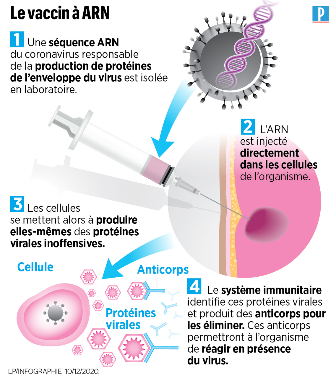 Effets secondaires des vaccins : L’ARNm ne reste pas dans le bras