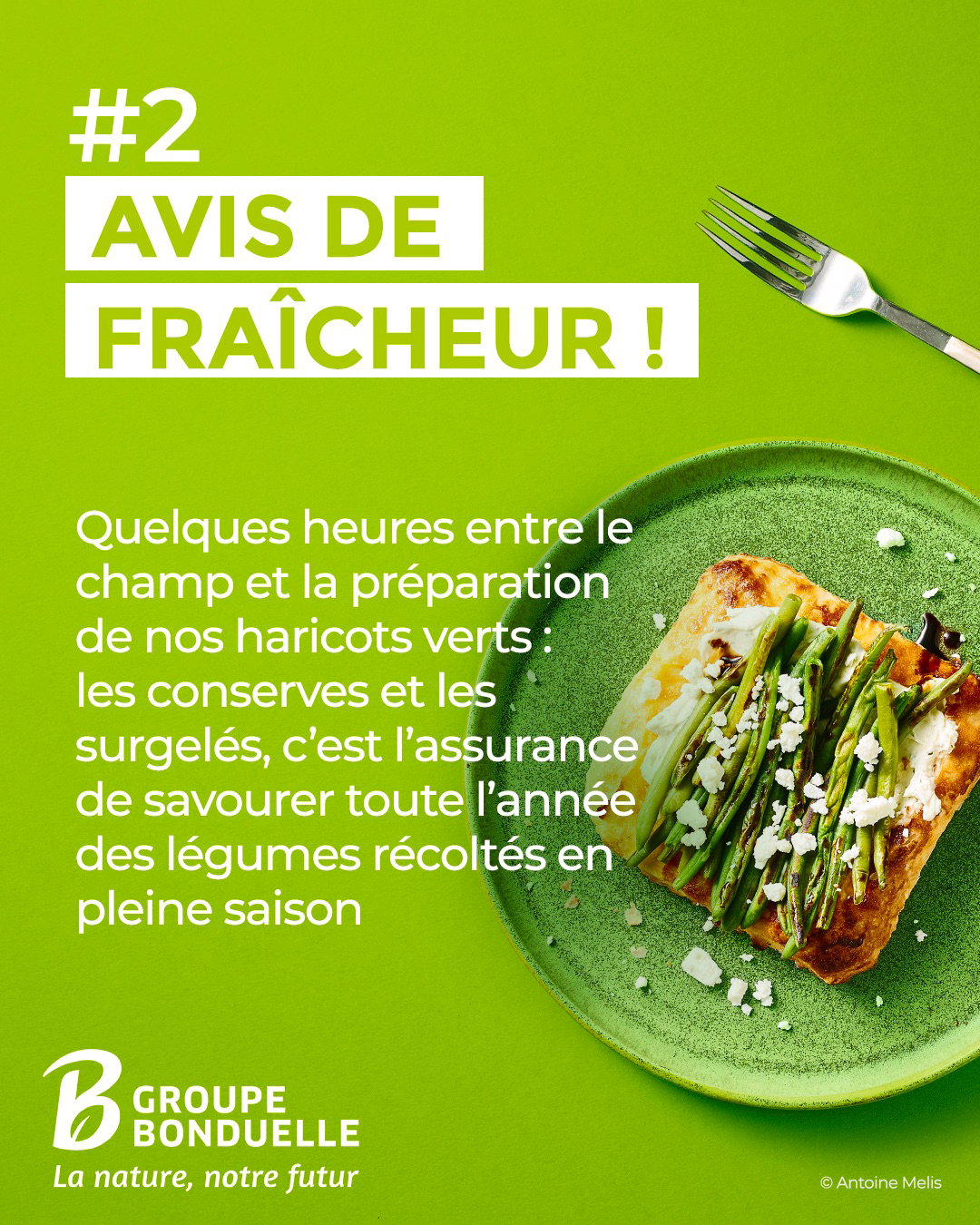 Bonduelle défie les préjugés sur ses conserves : le directeur général dénonce l’absence de conservateurs et promeut une alimentation végétale